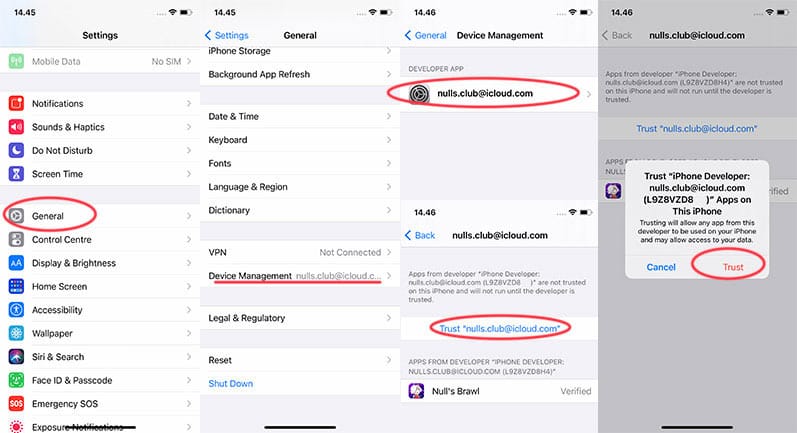 Null's Brawl iOS installation.