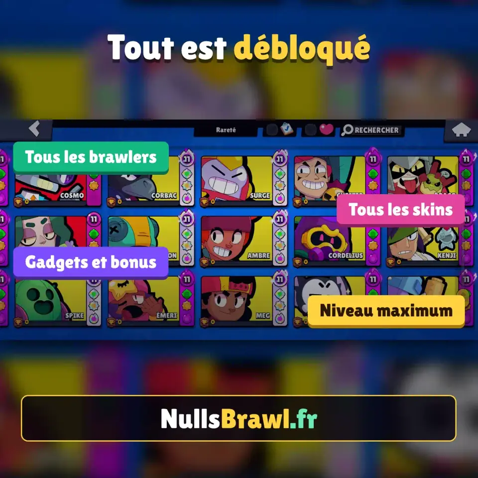 Tous les brawlers, skins et gadgets débloqués dans Null's Brawl.